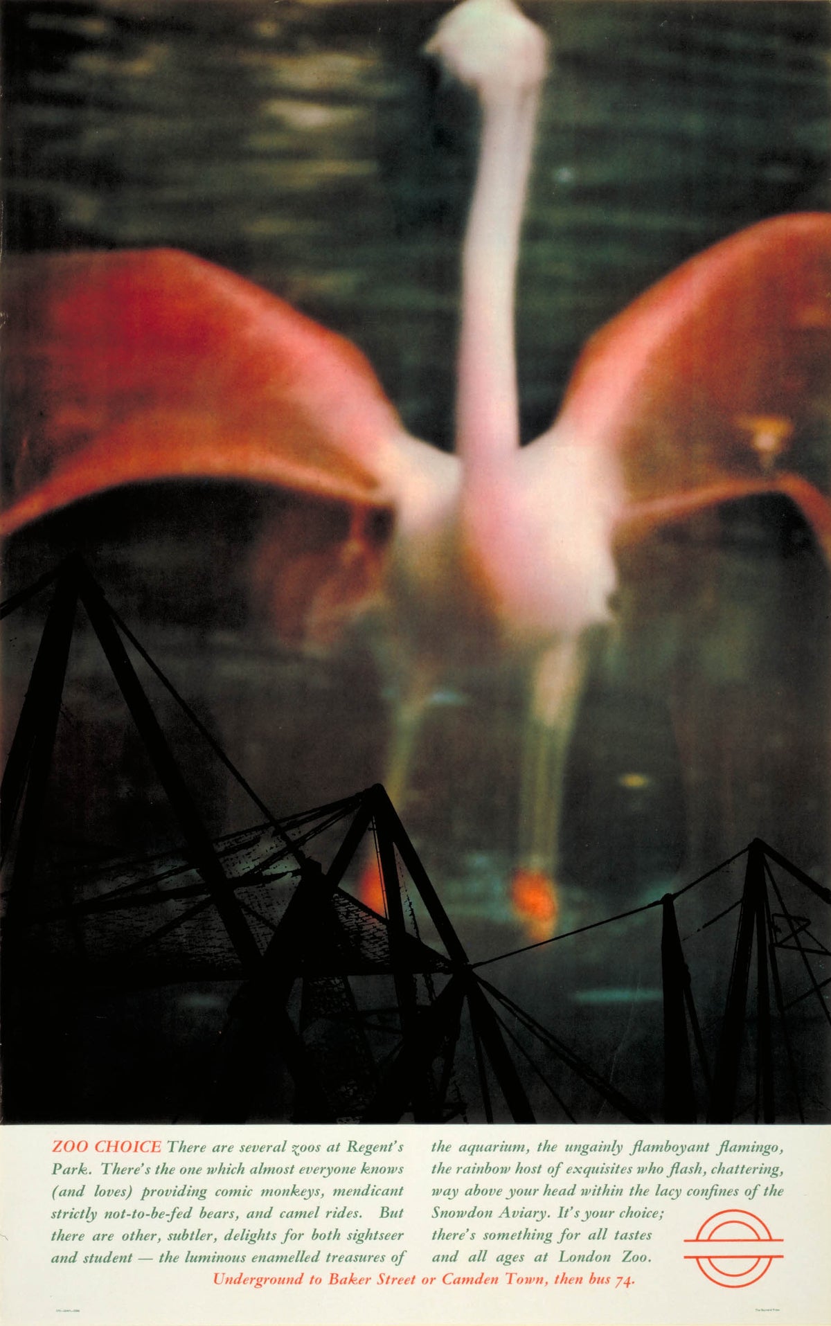poster_design
