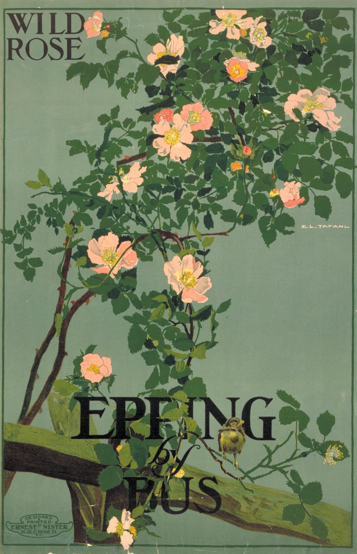 poster_design