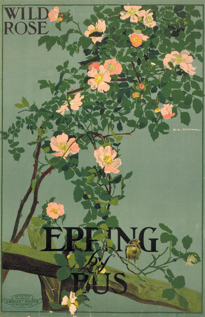 poster_design