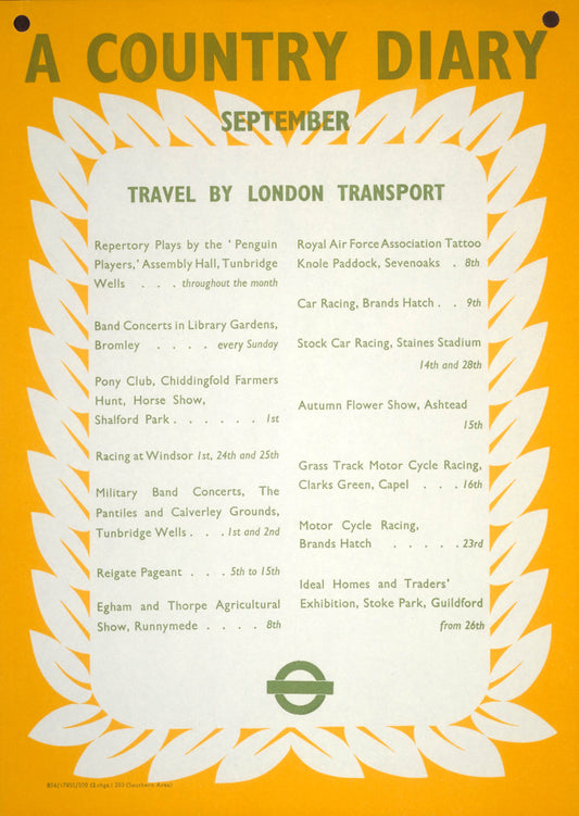 poster_design