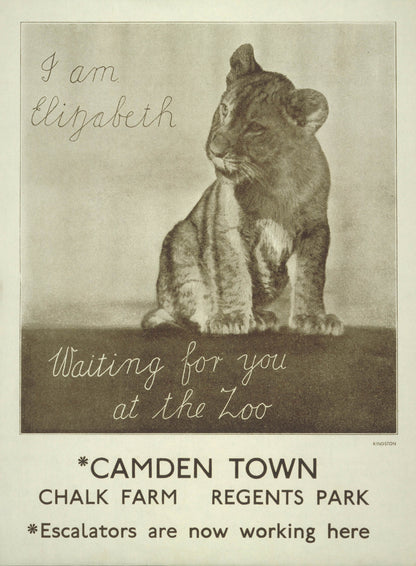 poster_design
