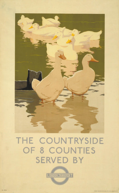 poster_design