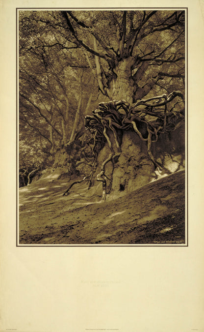 poster_design