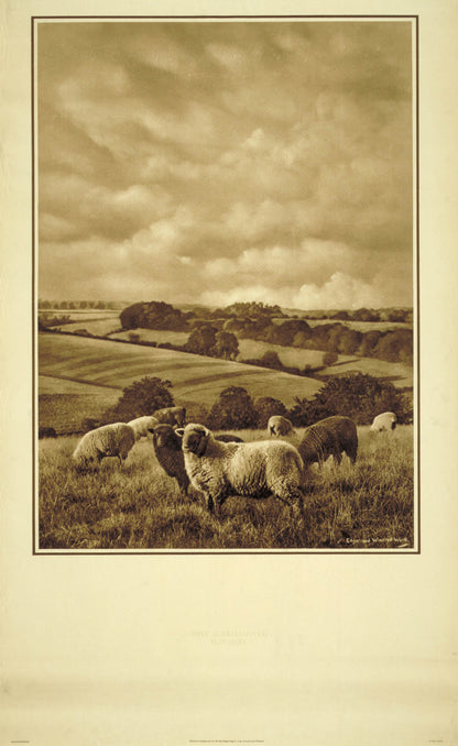 poster_design