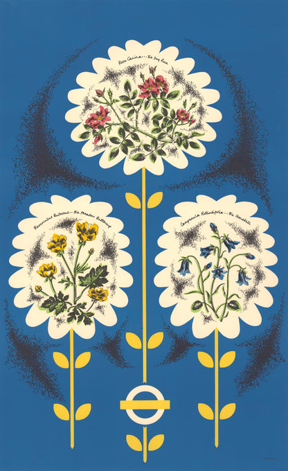 poster_design