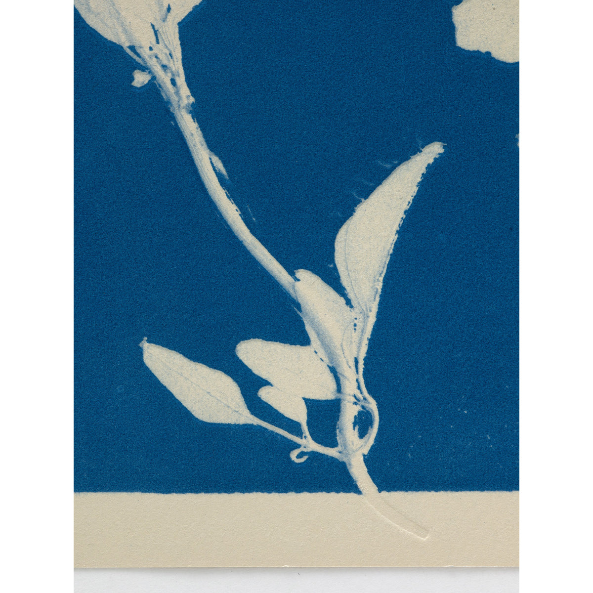 Futures Entwined, 2024 by Joy Gregory