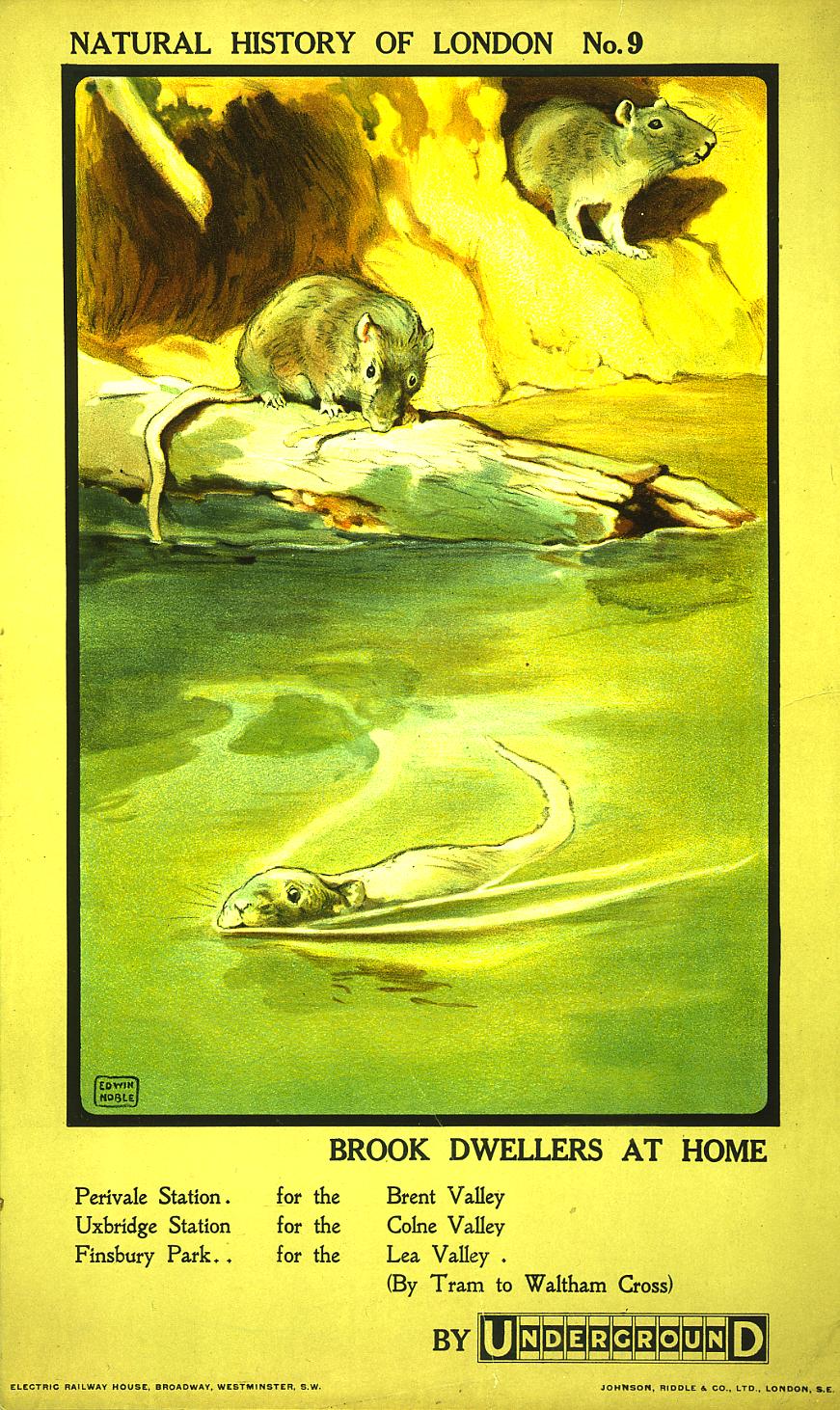 poster_design