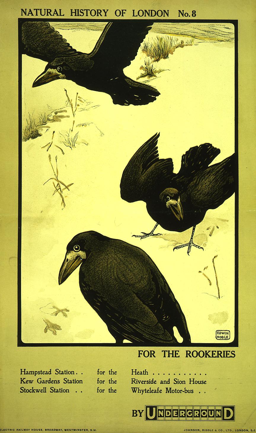 poster_design