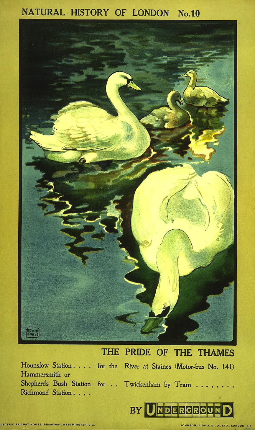 poster_design