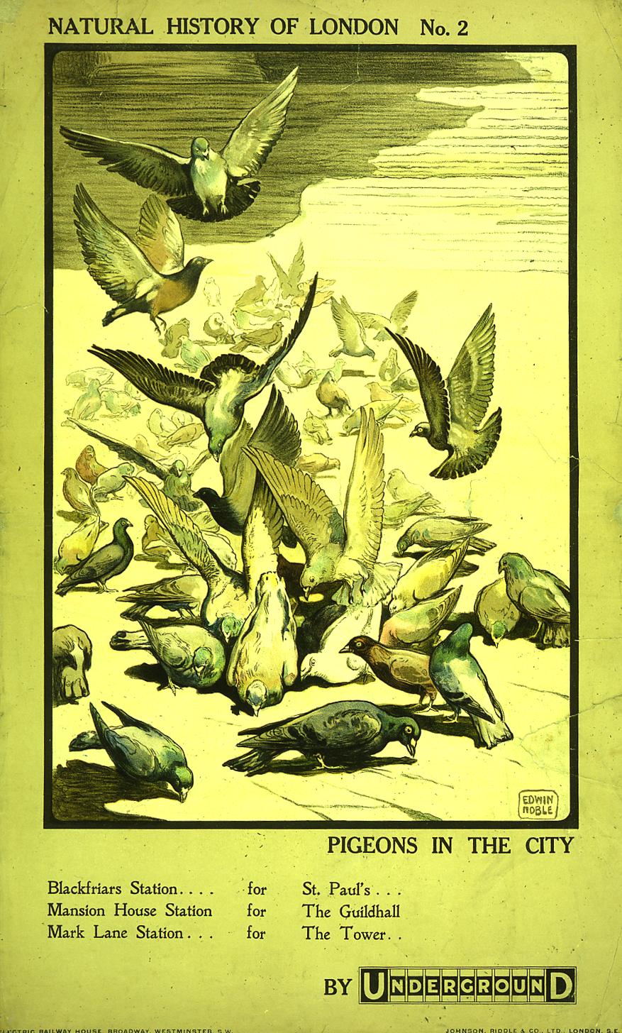 poster_design