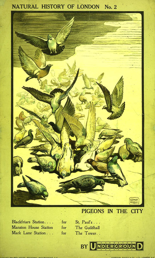 poster_design
