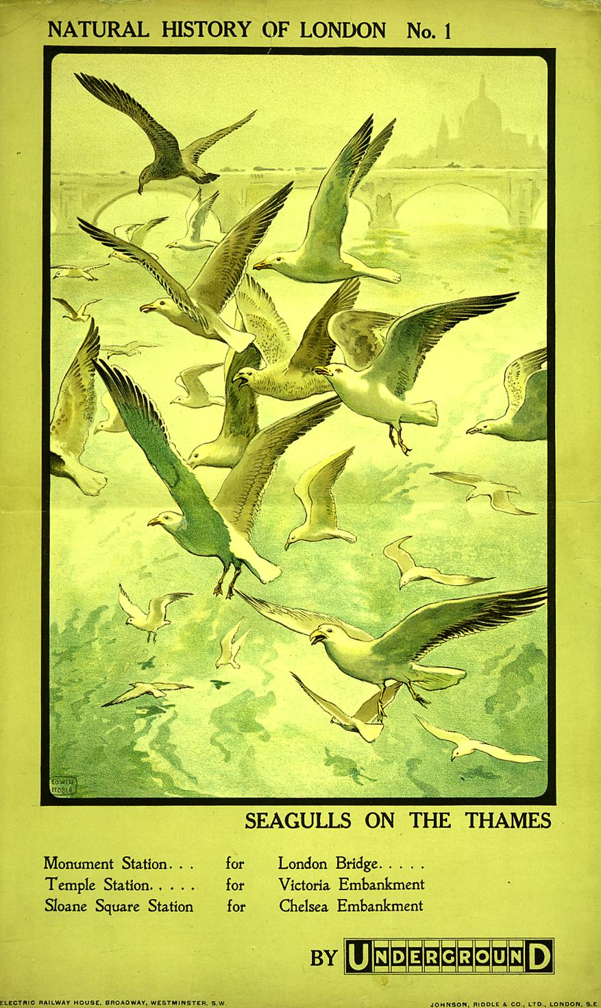 poster_design