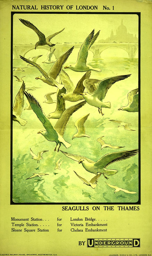 poster_design