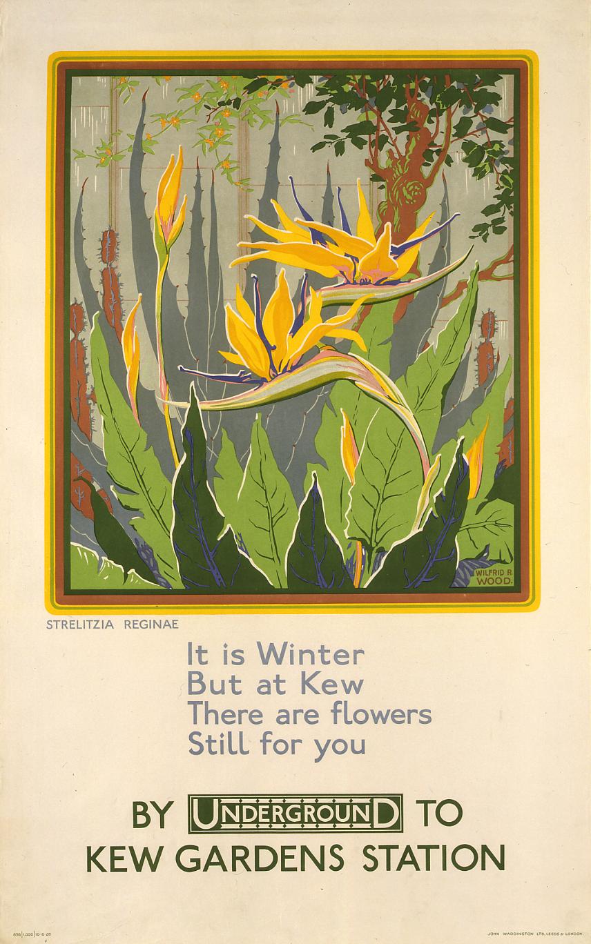 poster_design