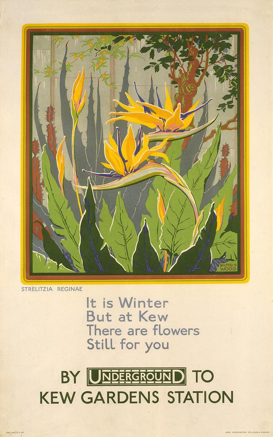 poster_design