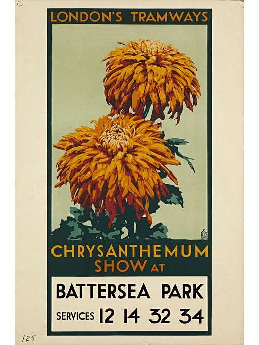 London's Tramways, Chrysanthemum show at Battersea Park, R B Studios, 1930