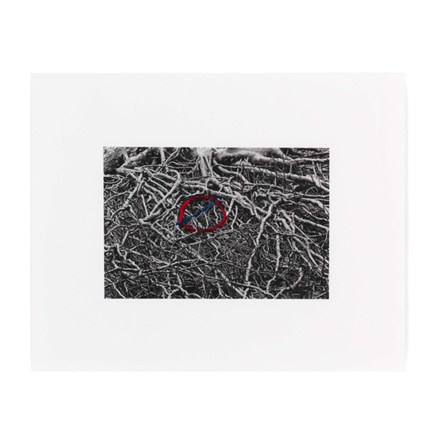 Tube Map 2 Limited Edition Artwork by Runa Islam