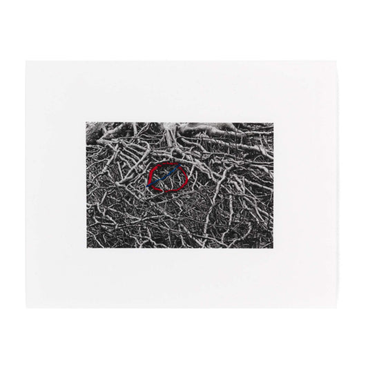 Tube Map 2 Limited Edition Artwork by Runa Islam