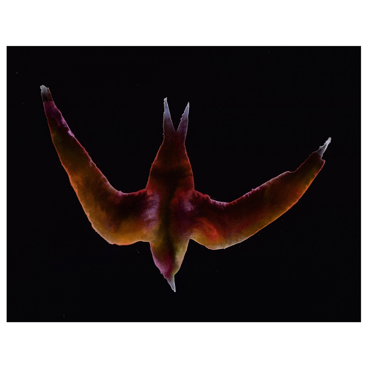 Wing-sleepers (Swift) Artwork by Marianna Simnett